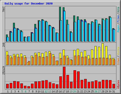 Daily usage for December 2020