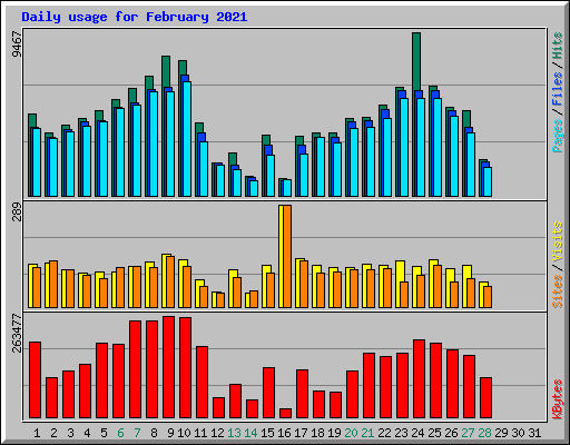 Daily usage for February 2021