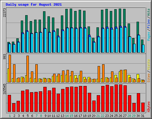 Daily usage for August 2021