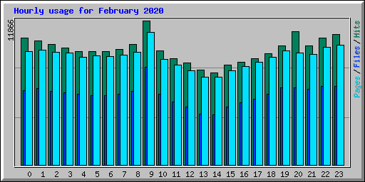 Hourly usage for February 2020