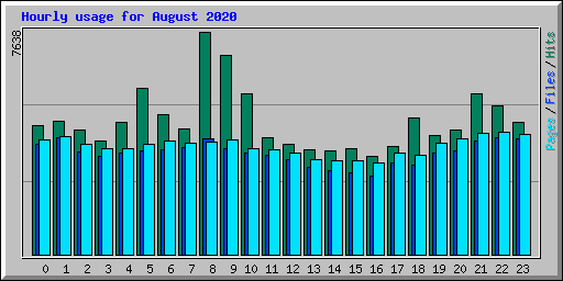 Hourly usage for August 2020