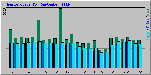 Hourly usage for September 2020