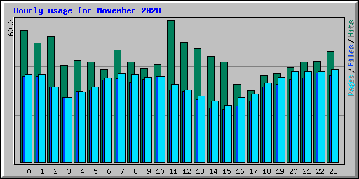 Hourly usage for November 2020