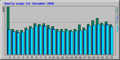 Hourly usage for December 2020