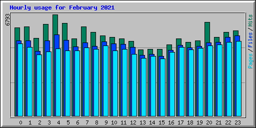 Hourly usage for February 2021