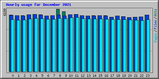 Hourly usage for December 2021