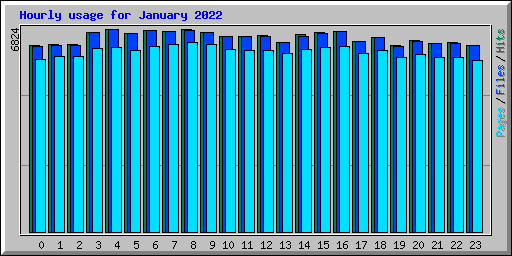 Hourly usage for January 2022